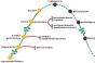 Cykl życia organizacji (przedsiębiorstwa): etapy i fazy