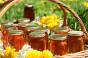 Priporočila za ustvarjanje čebelarskega podjetja in izračun dobička Kako začeti odpreti paviljon za prodajo medu